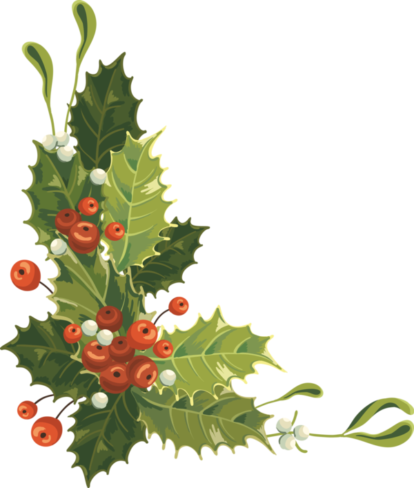 Transparent Christmas Card Christmas Drawing Plant Flower for Christmas
