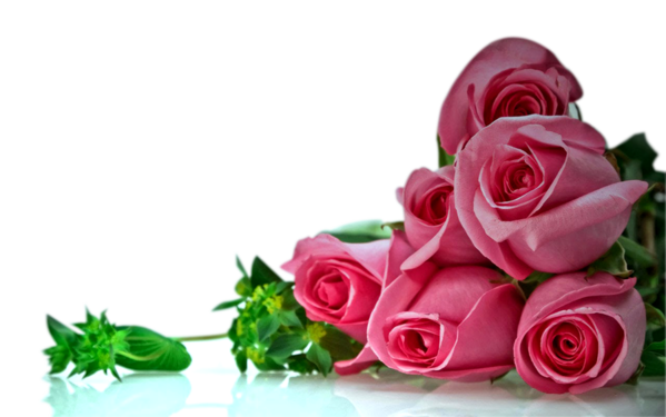 Transparent Wedding Invitation Anniversary Wish Pink Plant for Valentines Day