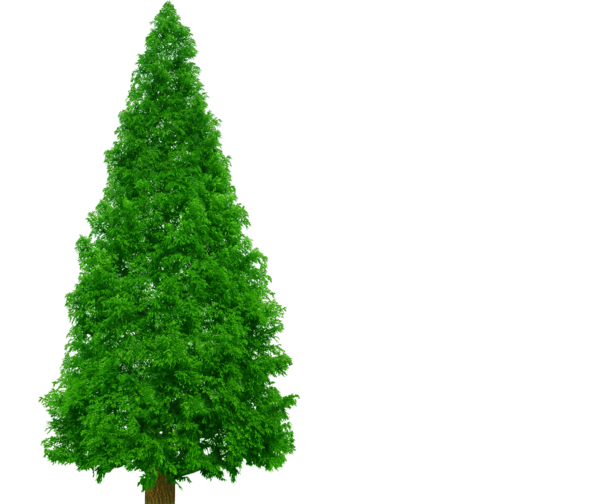 Transparent Spruce Pine Tree Christmas Tree for Christmas