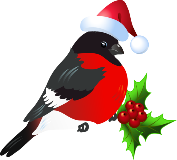 Transparent Bird Christmas Beak for Christmas