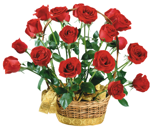 Transparent Birthday Holiday Husband Flower Garden Roses for New Year