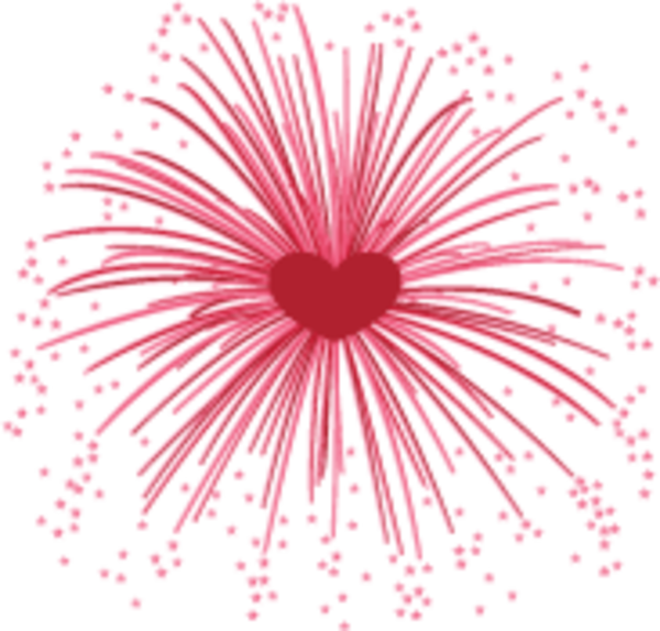 Transparent Fireworks Independence Day Animation Pink Flower for New Year