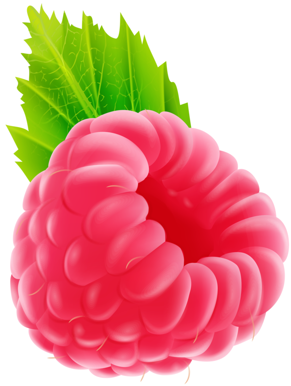Transparent Raspberry Fruit Cherry Pink for New Year