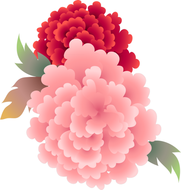 Transparent Floral Design Cut Flowers Flower Pink for International Womens Day