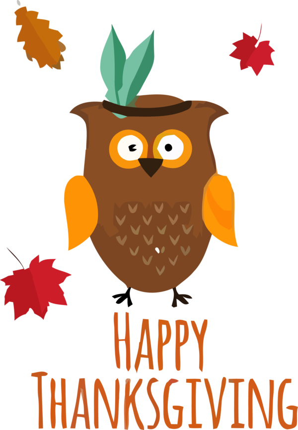 Transparent Thanksgiving Owl Eastern Screech owl Bird for Thanksgiving Owl for Thanksgiving