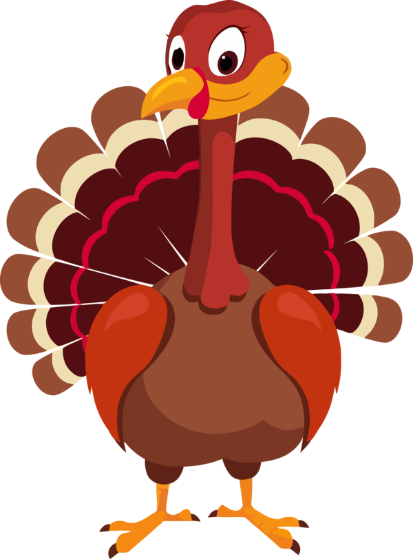 Transparent Thanksgiving Bird Turkey Flightless bird for Thanksgiving Turkey for Thanksgiving