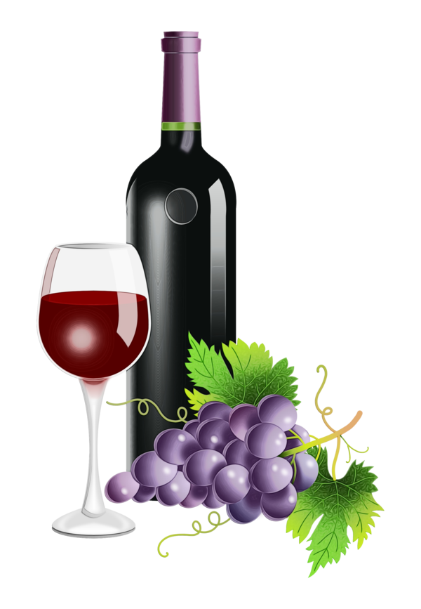 Transparent Wine Common Grape Vine Red Wine Grape Bottle for New Year