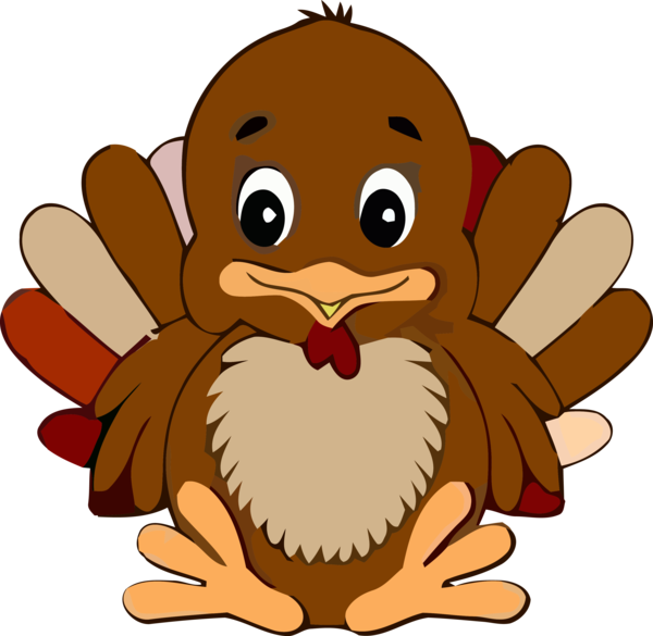 Transparent Thanksgiving Cartoon Animation Pleased for Thanksgiving Turkey for Thanksgiving
