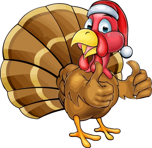 Transparent Thanksgiving Chicken Cartoon Rooster for Thanksgiving Turkey for Thanksgiving
