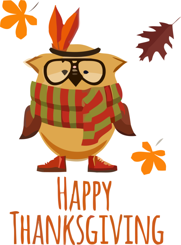 Transparent Thanksgiving Owl Cartoon for Thanksgiving Owl for Thanksgiving