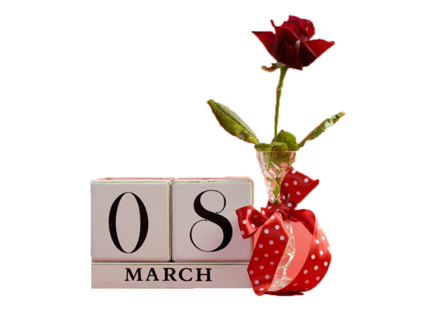 Transparent International Womens Day March 8 Woman Petal Fruit for International Womens Day