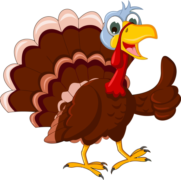 Transparent Thanksgiving Bird Turkey Cartoon for Thanksgiving Turkey for Thanksgiving