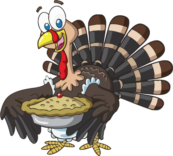 Transparent Thanksgiving Turkey Cartoon Bird for Thanksgiving Turkey for Thanksgiving
