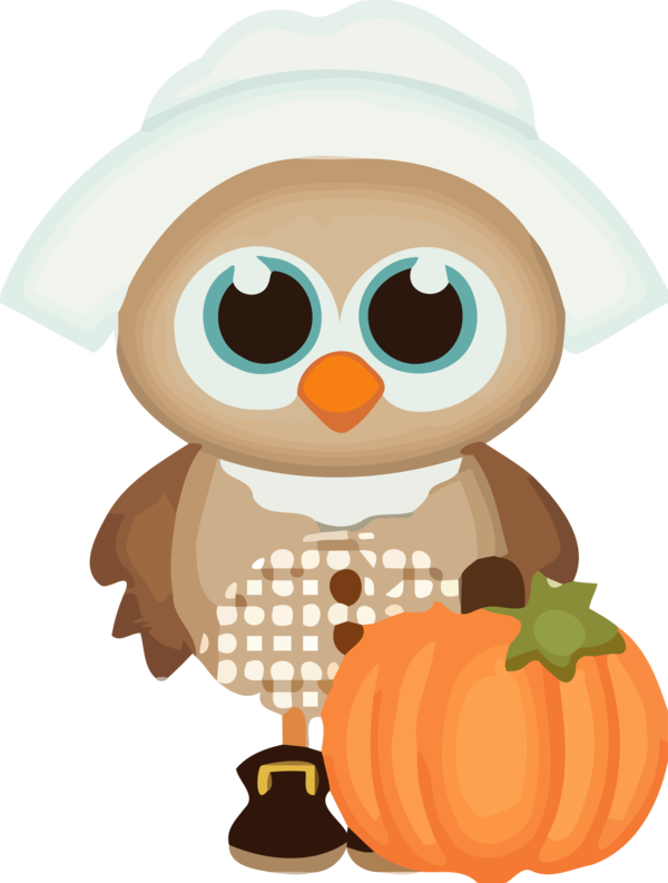 Transparent Thanksgiving Cartoon Pumpkin Owl for Thanksgiving Owl for Thanksgiving