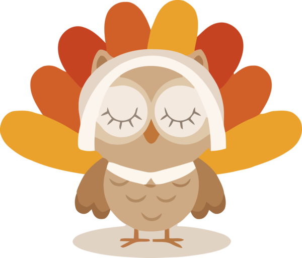 Transparent Thanksgiving Owl Cartoon for Thanksgiving  for Thanksgiving