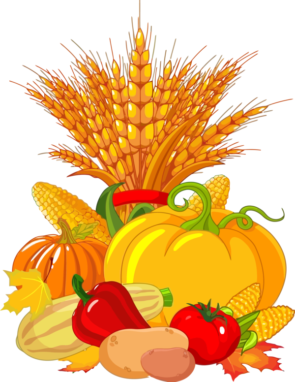 Transparent Thanksgiving Natural foods Orange Plant for Thanksgiving Pumpkin for Thanksgiving