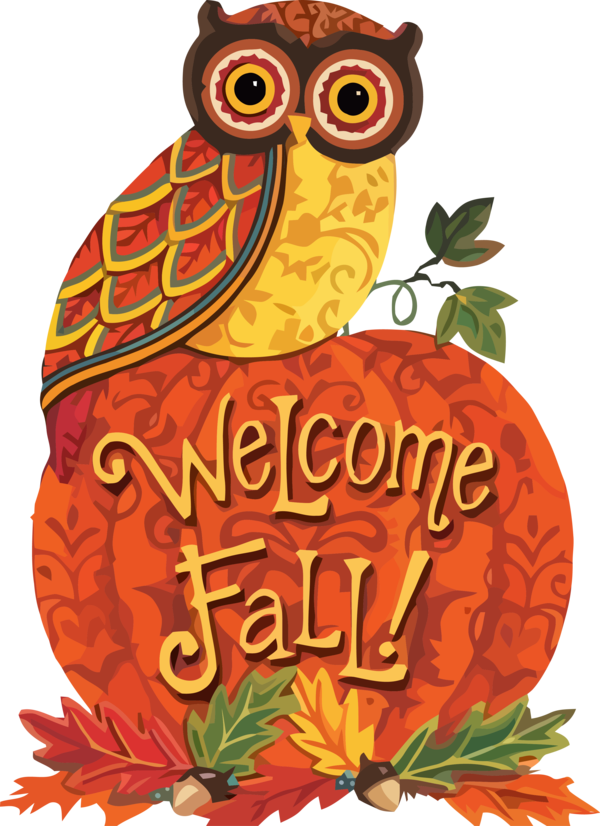 Transparent Thanksgiving Owl Orange Bird for Thanksgiving Owl for Thanksgiving