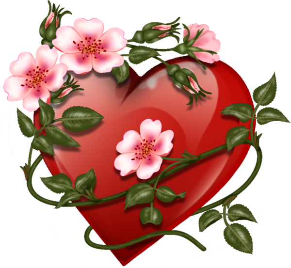 Transparent Valentine's Day Flower Plant Rosa rubiginosa for Valentine Heart for Valentines Day