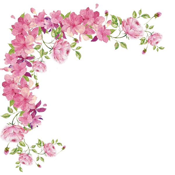 Transparent Watercolour Flowers Flower Rose Pink for Valentines Day