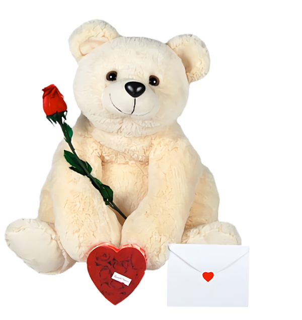 Transparent Valentine's Day Stuffed toy Teddy bear Bear for Teddy Bear for Valentines Day