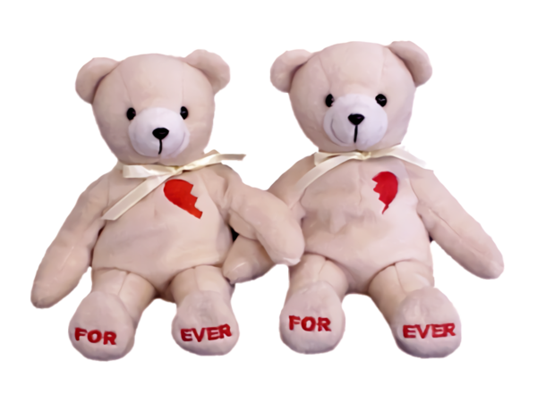 Transparent Valentine's Day Stuffed toy Teddy bear Toy for Teddy Bear for Valentines Day