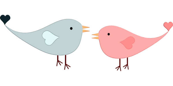 Transparent Drawing Birds Coloring Book Bib Bird Beak for Valentines Day