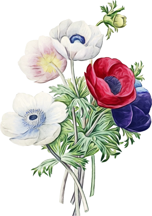 Transparent Flower Floral Design Anemone Plant for Valentines Day