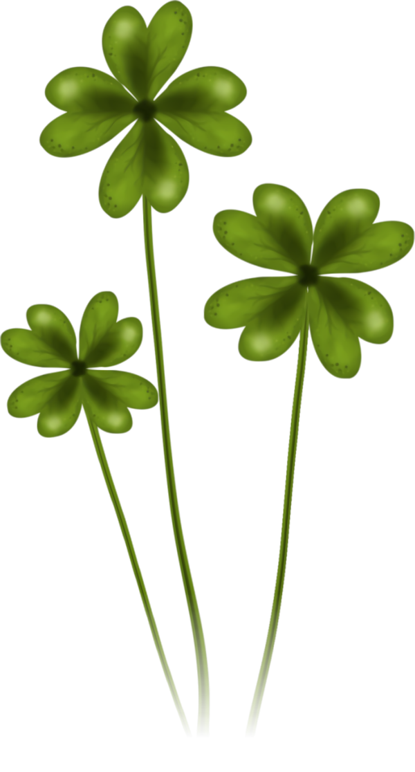 Transparent St Patrick's Day Leaf Green Flower for Four Leaf Clover for St Patricks Day