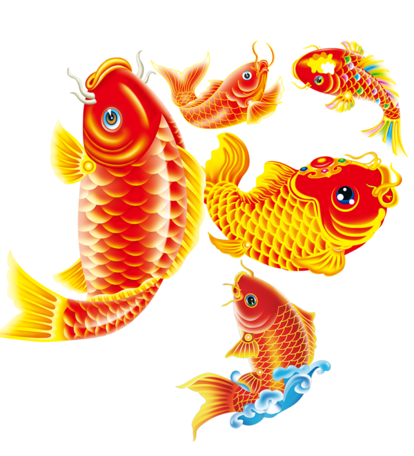 Transparent Koi New Year Picture Fish Orange for New Year