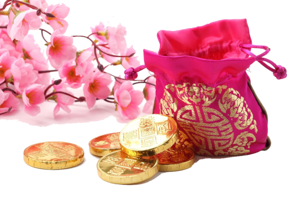 Transparent China Chinese New Year New Year Pink Petal for New Year