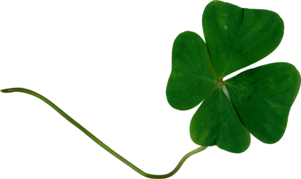 Transparent St Patrick's Day Leaf Green Shamrock for Four Leaf Clover for St Patricks Day