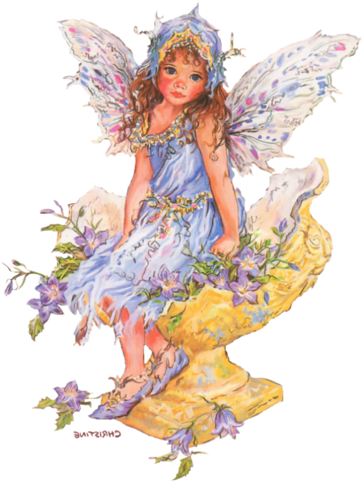 Transparent Fairy Elf Child Angel Costume Design for Christmas