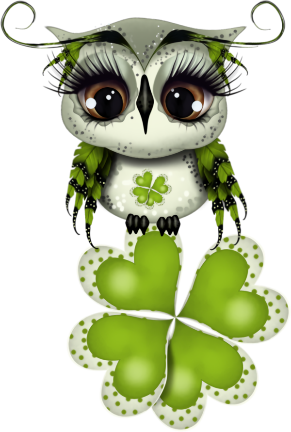Transparent St Patrick's Day Green Owl Plant for Four Leaf Clover for St Patricks Day