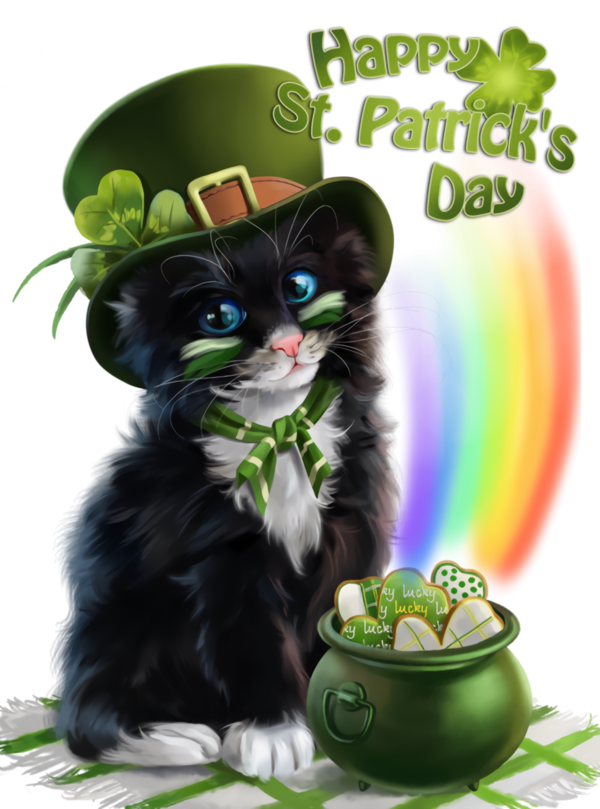 Transparent St Patrick's Day Cat Small to medium-sized cats Black cat for St Patrick's Day Rainbow for St Patricks Day