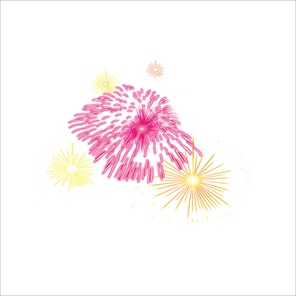 Transparent Fireworks Papercutting Chinese New Year Pink Flower for New Year