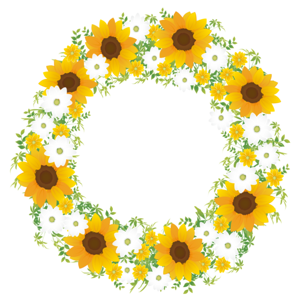 Transparent Common Sunflower Flower Color Scheme Sunflower for New Year