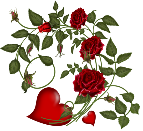 Transparent Valentine's Day Flower Red Rose for Valentine Heart for Valentines Day