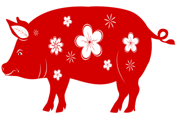 Transparent Chinese New Year New Year Pig Suidae Snout for New Year