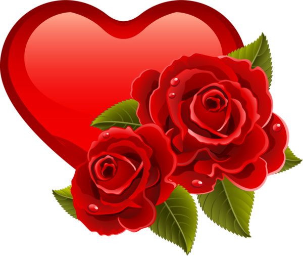 Transparent Valentine's Day Red Rose Garden roses for Valentine Heart for Valentines Day
