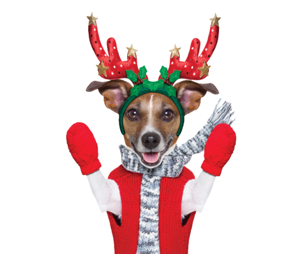 Transparent Reindeer Rudolph Lapponian Herder Christmas Ornament Deer for Christmas