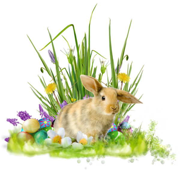 Transparent Easter Bunny Easter Holiday Rabbit Grass for Easter