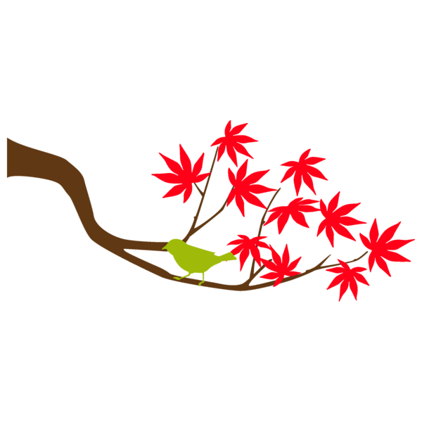 Transparent Thanksgiving Leaf Plant Tree for Fall Leaves for Thanksgiving