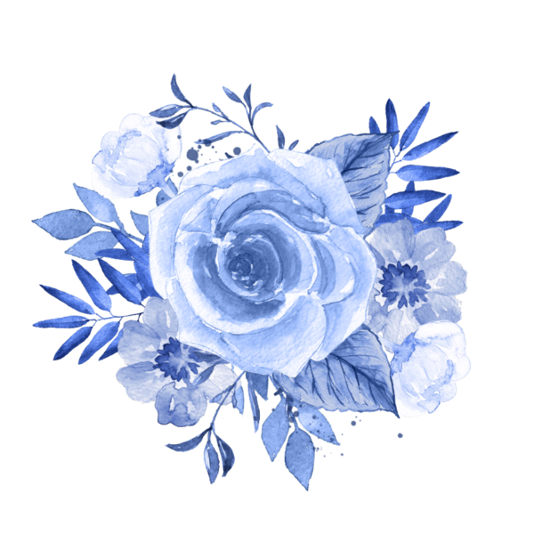 Transparent Watercolor Painting Flower Blue Flower Blue Blue Rose for Valentines Day