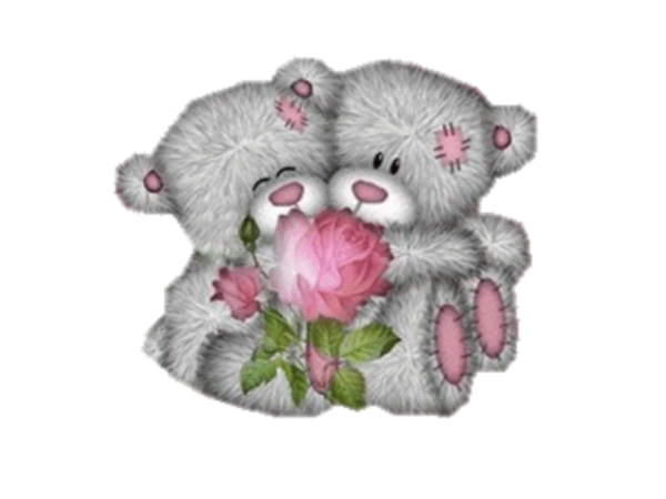 Transparent Pink Teddy Bear Toy for Valentines Day