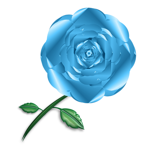 Transparent Garden Roses Blue Rose Cabbage Rose Flower Blue for Valentines Day