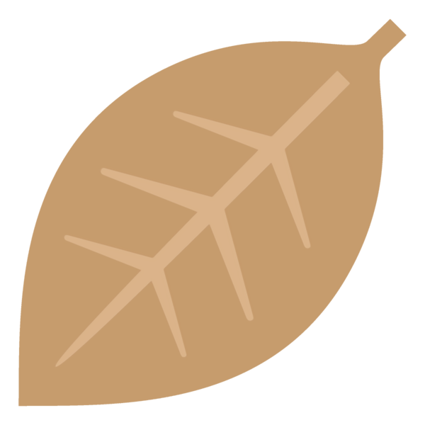 Transparent Thanksgiving Beige Logo for Fall Leaves for Thanksgiving