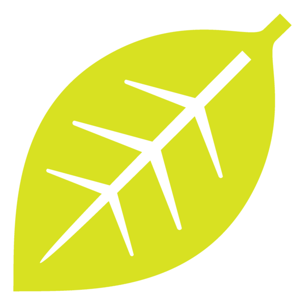 Transparent Thanksgiving Yellow Line Logo for Fall Leaves for Thanksgiving