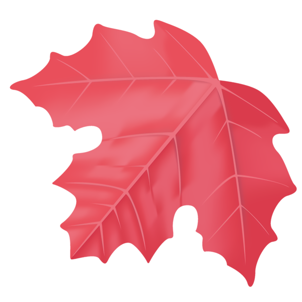 Transparent Thanksgiving Leaf Red Maple leaf for Fall Leaves for Thanksgiving