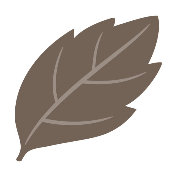 Transparent Thanksgiving Leaf Feather Plant for Fall Leaves for Thanksgiving