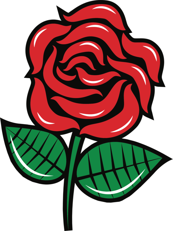 Transparent Rose Drawing Black Rose Garden Roses for Valentines Day